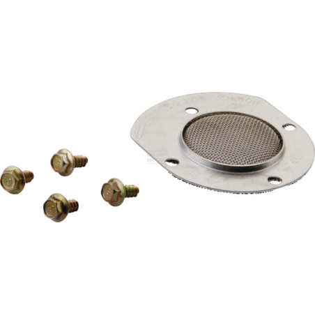 Pare-étincelles BRIGGS & STRATTON 398067