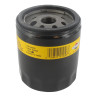 Filtre à huile BRIGGS ET STRATTON 491056