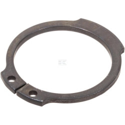 Bague AGCO 390863X1
