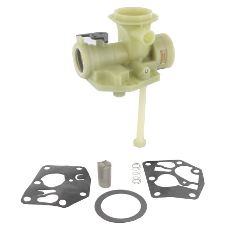 Carburateur BRIGGS ET STRATTON 494775