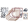 Joints moteur BRIGGS ET STRATTON 495993