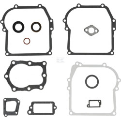 Kit BRIGGS & STRATTON 391662