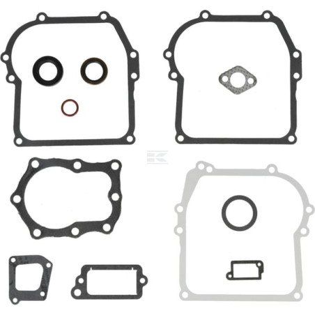 Kit BRIGGS & STRATTON 391662