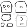 Kit BRIGGS & STRATTON 391662