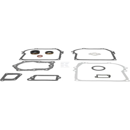 Kit BRIGGS & STRATTON 391662