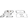 Kit BRIGGS & STRATTON 391662