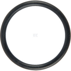Bague LEMKEN 37810283