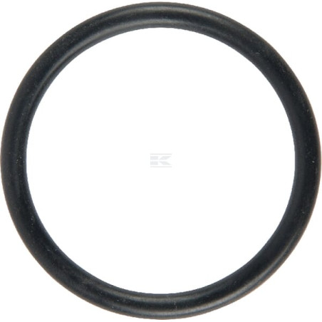 Bague LEMKEN 37810283