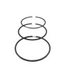 Jeu de segments BRIGGS ET STRATTON 499425 - 790359 - 791097 - 795429