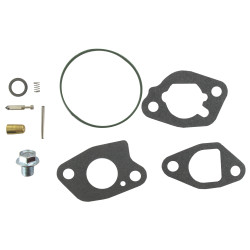 Kit de carburateur BRIGGS ET STRATTON 591770