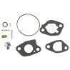Kit de carburateur BRIGGS ET STRATTON 591770