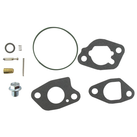 Kit de carburateur BRIGGS ET STRATTON 591770