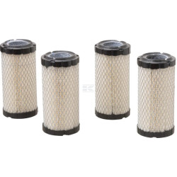 Filtre BRIGGS & STRATTON 4234