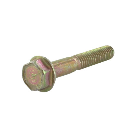 Vis BRIGGS ET STRATTON 691640