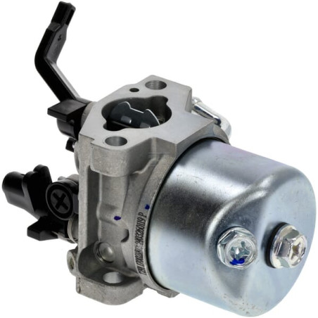 Carburateur AL-KO 417650