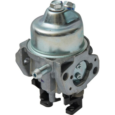 Carburateur AL-KO 418646