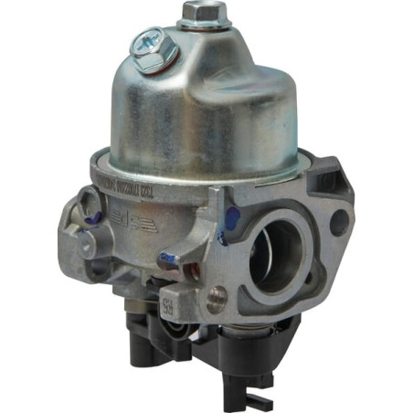 Carburateur AL-KO 418646