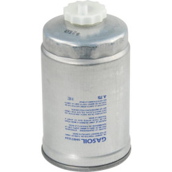 Filtre LANDINI 4207949M1