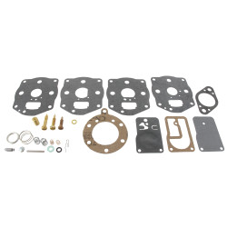 Kit de carburateur BRIGGS ET STRATTON 694056 - 394502 - 491539