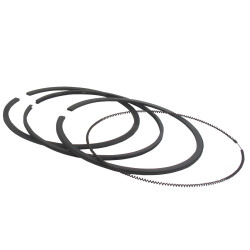 Segments BRIGGS ET STRATTON 696403