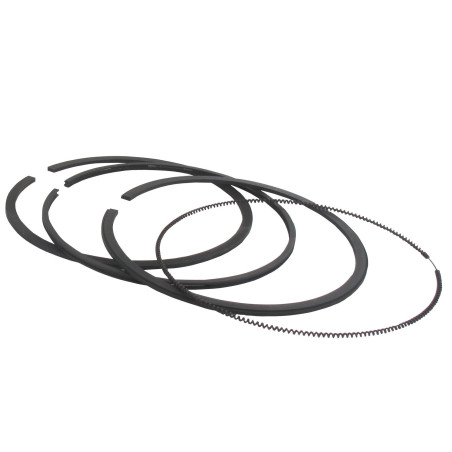 Segments BRIGGS ET STRATTON 696403