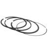 Segments BRIGGS ET STRATTON 696403