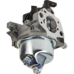 Carburateur AL-KO 418649