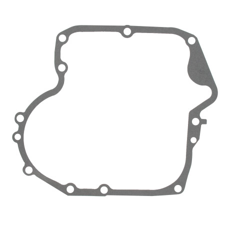 Joint de flasque BRIGGS ET STRATTON 697110
