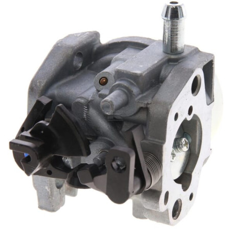 Carburateur AL-KO 418794