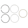Segments BRIGGS ET STRATTON 699026