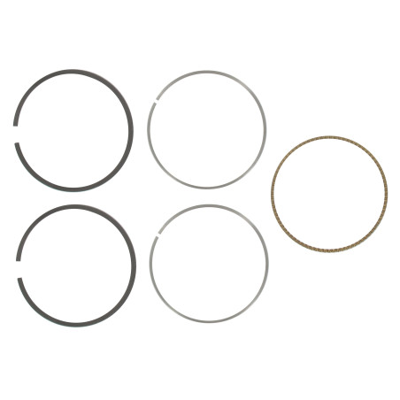Segments BRIGGS ET STRATTON 699026