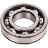 Roulement SPICER DANA 4205105