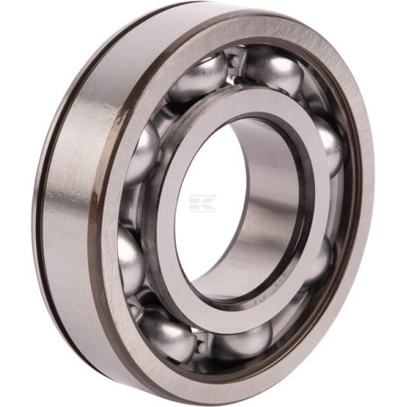 Roulement SPICER DANA 4205105