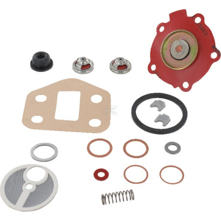 Kit MASSEY FERGUSON (AGCO) 4222326M91