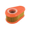 Filtre à air BRIGGS ET STRATTON 792038