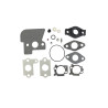 Kit de carburateur BRIGGS ET STRATTON 792383