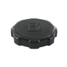 Bouchon de réservoir BRIGGS ET STRATTON 794641