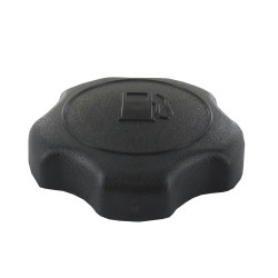 Bouchon de réservoir BRIGGS ET STRATTON 795027