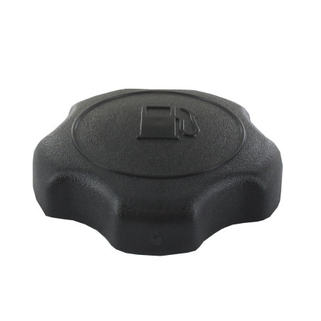 Bouchon de réservoir BRIGGS ET STRATTON 795027