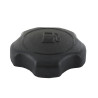 Bouchon de réservoir BRIGGS ET STRATTON 795027