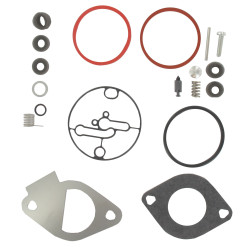 Kit de carburateur BRIGGS ET STRATTON 796184