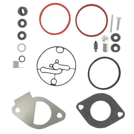 Kit de carburateur BRIGGS ET STRATTON 796184