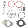 Kit de carburateur BRIGGS ET STRATTON 796184