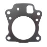 Joint de culasse BRIGGS ET STRATTON 796475