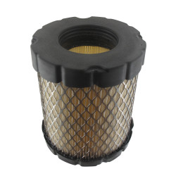 Filtre à air BRIGGS ET STRATTON 798897