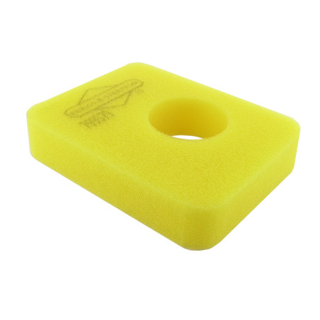 Filtre à air BRIGGS ET STRATTON 799579