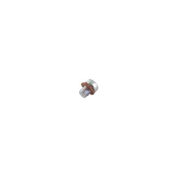 Vis BRIGGS ET STRATTON 807714