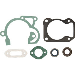 Kit STIHL 42500071600