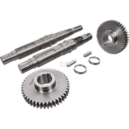 Joint spi BATTIONI PAGANI 4440001344