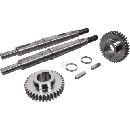 Joint spi BATTIONI PAGANI 4440001340